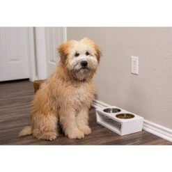 Internet's Best Modern Elevated Dog & Cat Bowls -Pet Care Sales 154379 PT3. AC SS1800 V1540502046