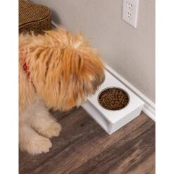 Internet's Best Modern Elevated Dog & Cat Bowls -Pet Care Sales 154379 PT4. AC SS1800 V1540502048