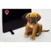 Cozy Products Cozy Pet Warmer Radiant Heating Panel