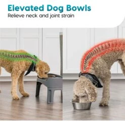 IRIS USA Elevated Dog Feeder With Attachable Feet 12 IRIS USA Elevated Dog Feeder With Attachable Feet -Pet Care Sales 156889 PT5. AC SS1800 V1552318325