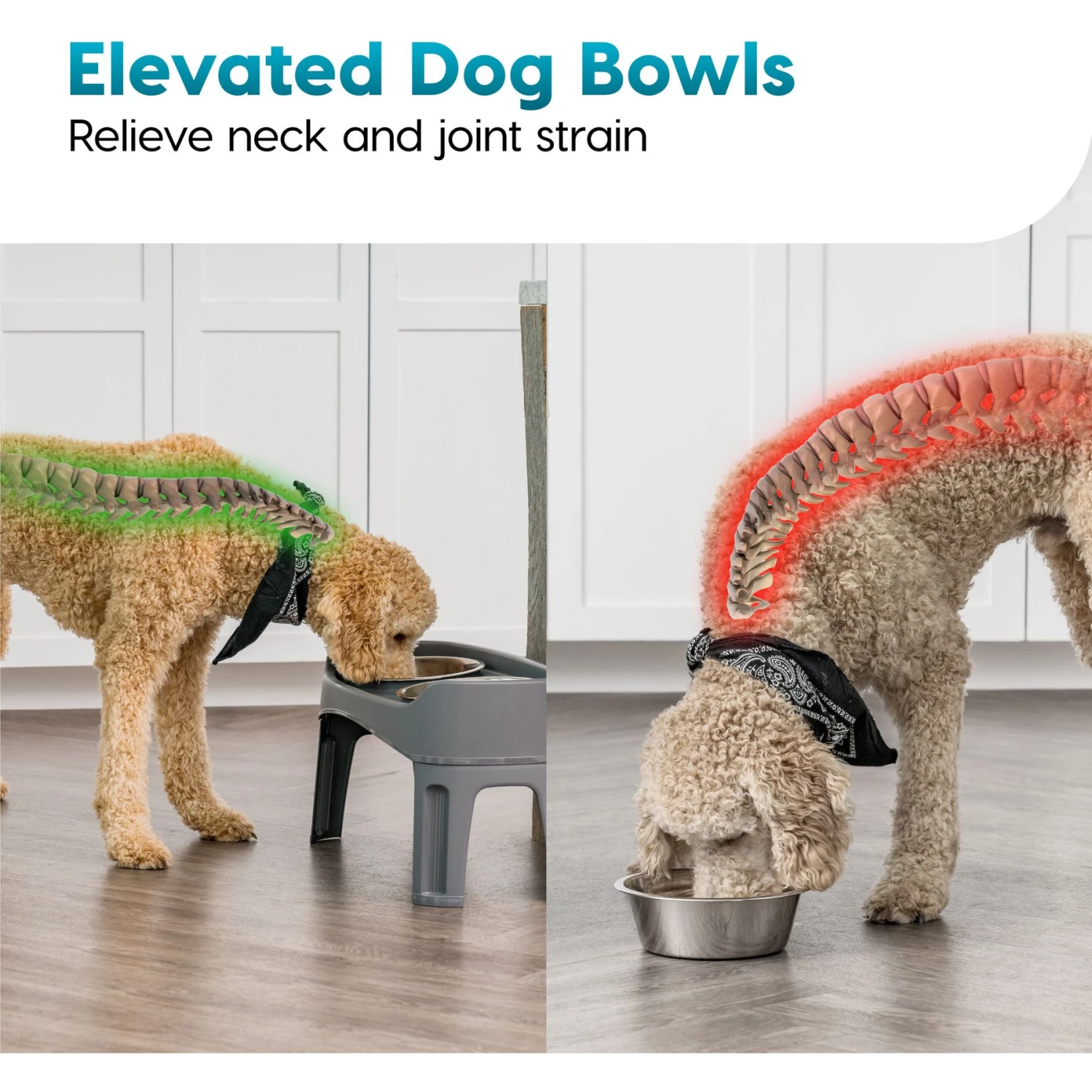 IRIS USA Elevated Dog Feeder With Attachable Feet 6 IRIS USA Elevated Dog Feeder With Attachable Feet - Image 6