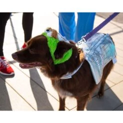 Pet Krewe Sesame Street Oscar The Grouch Dog & Cat Costume -Pet Care Sales 157703 PT6. AC SS1800 V1599277268