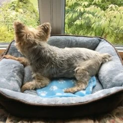 Pet Fit For Life Cooling & Heating Pad -Pet Care Sales 159014 PT7. AC SS1800 V1552502520