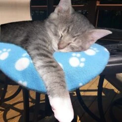 Pet Fit For Life Cooling & Heating Pad -Pet Care Sales 159014 PT8. AC SS1800 V1552502521