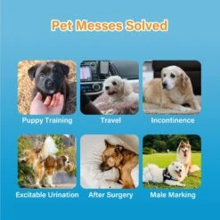 Honey Care All-Absorb Disposable Male Dog Wraps 9 Honey Care All-Absorb Disposable Male Dog Wraps -Pet Care Sales 159971 PT2. AC SS1800 V1696519268