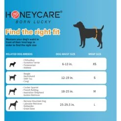 Honey Care All-Absorb Disposable Male Dog Wraps 12 Honey Care All-Absorb Disposable Male Dog Wraps -Pet Care Sales 159971 PT5. AC SS1800 V1696519276