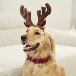 Frisco Holiday Antler Headband & Bell Collar Dog & Cat Costume -Pet Care Sales 160658 PT4. AC SS1800 V1568818037