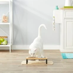 Frisco Wood Elevated Stainless Steel Double Diner Dog & Cat Bowl 7 Frisco Wood Elevated Stainless Steel Double Diner Dog & Cat Bowl -Pet Care Sales 161144 PT4. AC SS1800 V1561641433