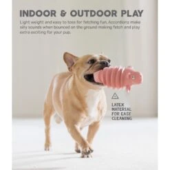 Outward Hound Accordionz Gator Stuffing-Free Squeaky Dog Toy 9 Outward Hound Accordionz Gator Stuffing-Free Squeaky Dog Toy -Pet Care Sales 162058 PT3. AC SS1800 V1631680949
