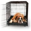 K&H Pet Products Odor-Control Dog Crate Pad