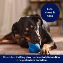 Frisco Flying Saucer Rubber Treat Dispenser Dog Toy -Pet Care Sales 164757 PT5. AC SS1800 V1691784247