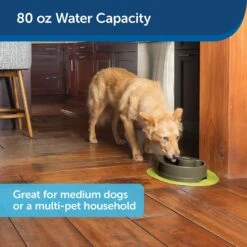 PetSafe Current Circulating Pet Fountain -Pet Care Sales 166258 PT6. AC SS1800 V1598894175
