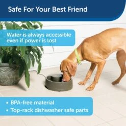 PetSafe Current Circulating Pet Fountain -Pet Care Sales 166258 PT7. AC SS1800 V1598894794
