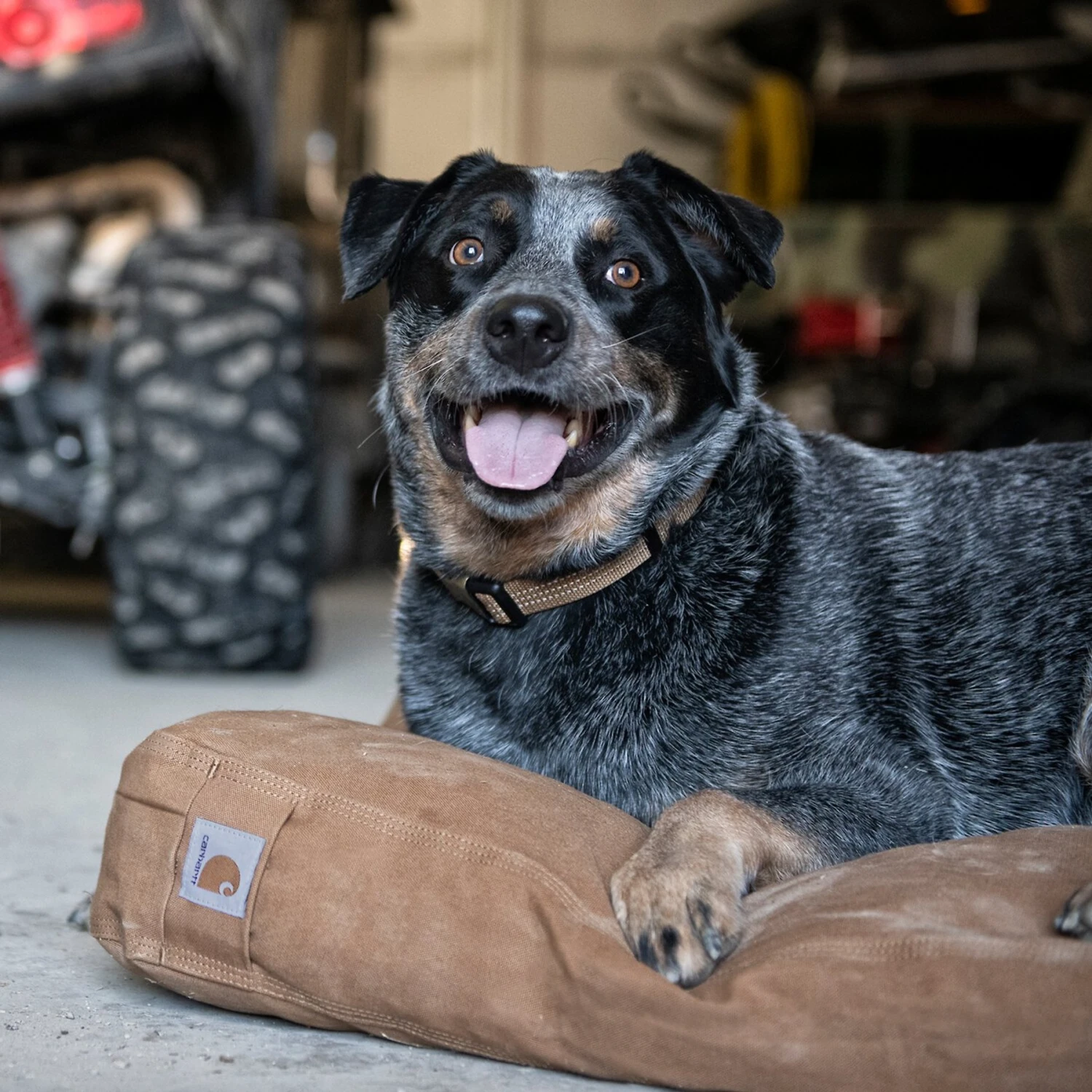 Carhartt Pillow Dog Bed With Removable Cover 5 Carhartt Pillow Dog Bed With Removable Cover - Image 5