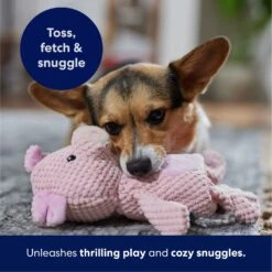 Frisco Pig Textured Plush Squeaky Dog Toy -Pet Care Sales 174695 PT4. AC SS1800 V1695670689