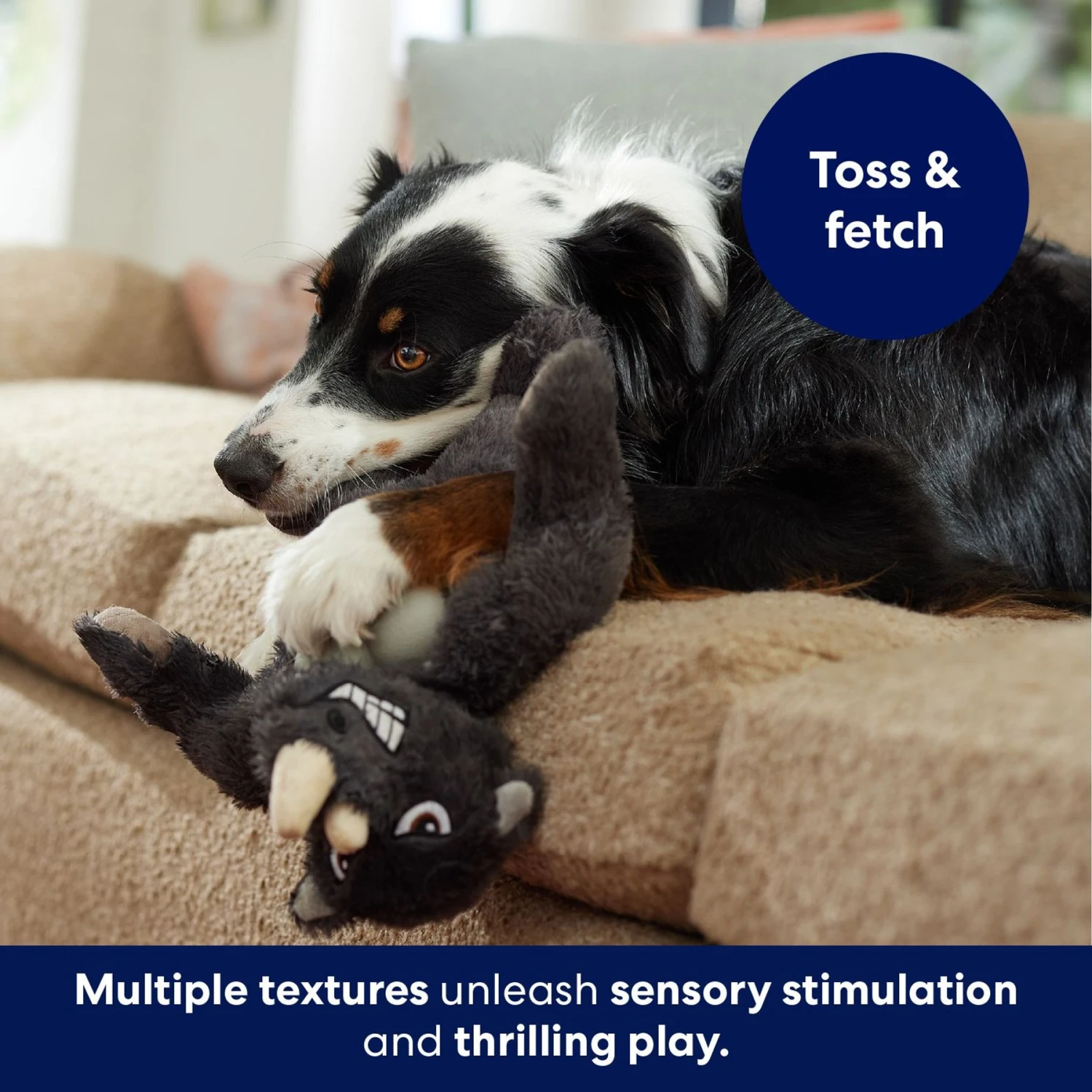 Frisco Rhino Muscle Plush Squeaky Dog Toy 4 Frisco Rhino Muscle Plush Squeaky Dog Toy - Image 4