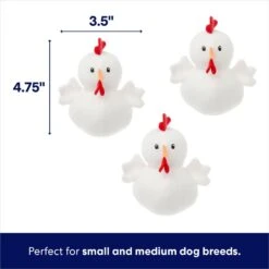 Frisco Chicken Coop Hide & Seek Puzzle Plush Squeaky Dog Toy -Pet Care Sales 174755 PT2. AC SS1800 V1691783968