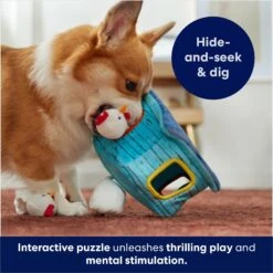 Frisco Chicken Coop Hide & Seek Puzzle Plush Squeaky Dog Toy -Pet Care Sales 174755 PT5. AC SS1800 V1691783971