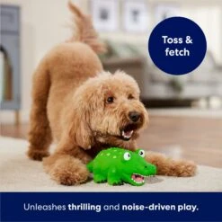 Frisco Alligator Latex Squeaky Dog Toy -Pet Care Sales 174772 PT3. AC SS1800 V1686579212
