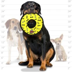 Tuffy's No Stuff Ultimate Ring Bone Squeaky Plush Dog Toy -Pet Care Sales 184091 PT3. AC SS1800 V1564002723