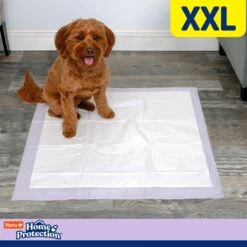Hartz Home Protection No Odor No Leaks Lavender Scented XX-Large Dog Pads 13 Hartz Home Protection No Odor No Leaks Lavender Scented XX-Large Dog Pads -Pet Care Sales 184968 PT5. AC SS1800 V1689019586