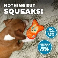 Outward Hound Invincibles Squeaky Stuffing-Free Plush Dog Toy 11 Outward Hound Invincibles Squeaky Stuffing-Free Plush Dog Toy -Pet Care Sales 190586 PT3. AC SS1800 V1631680378
