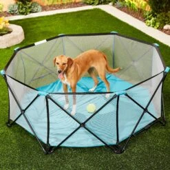 Regalo Pet Products My Play Portable Soft-sided Dog & Cat Playpen