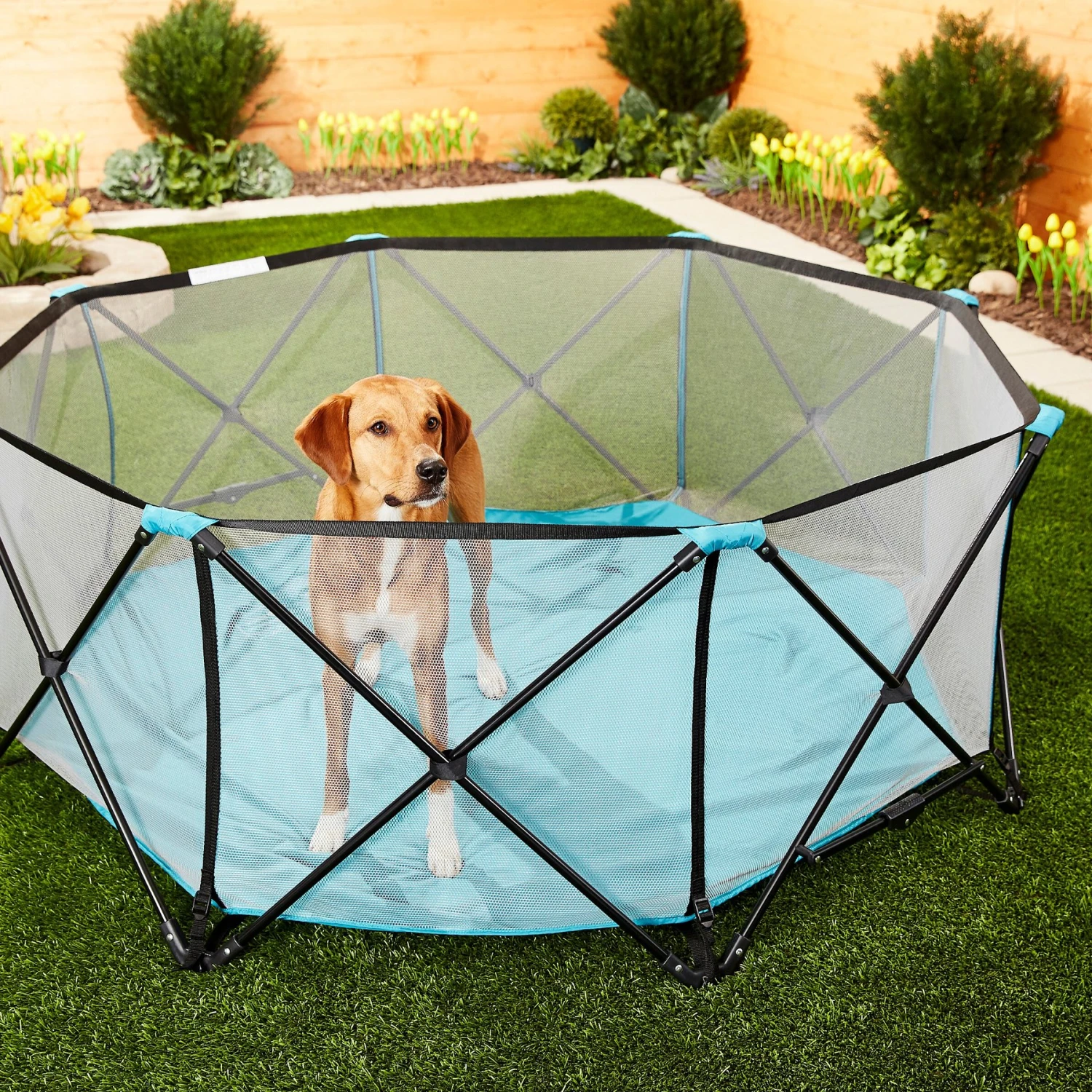 Regalo Pet Products My Play Portable Soft-sided Dog & Cat Playpen 5 Regalo Pet Products My Play Portable Soft-sided Dog & Cat Playpen - Image 5