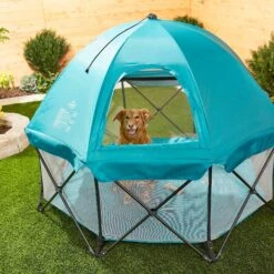 Regalo Pet Products Deluxe My Play Portable Soft-sided Dog & Cat Playpen