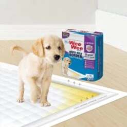 Four Paws Wee-Wee Super Absorbent Dog Pee Pads With Insta-Rise Border 14 Four Paws Wee-Wee Super Absorbent Dog Pee Pads With Insta-Rise Border -Pet Care Sales 192218 PT5. AC SS1800 V1663018022