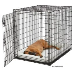 MidWest Solution Series XX-Large Heavy Duty Single Door Dog Crate, 54 Inch 8 MidWest Solution Series XX-Large Heavy Duty Single Door Dog Crate, 54 Inch -Pet Care Sales 192364 PT3. AC SS1800 V1570569373
