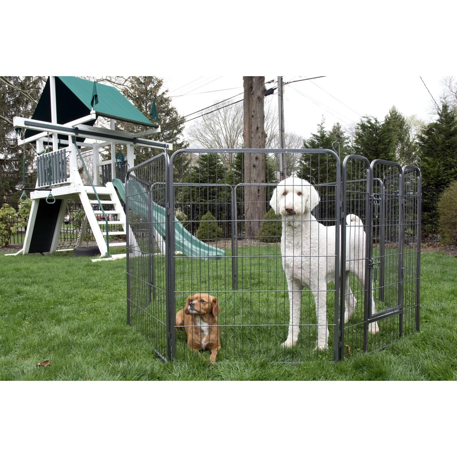 Iconic Pet Heavy Duty Wire Dog Playpen 2 Iconic Pet Heavy Duty Wire Dog Playpen - Image 2