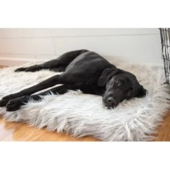 PawBrands PupRug Faux Fur Rectangular Orthopedic Pillow Dog Bed With Removable Cover, Gray -Pet Care Sales 194380 PT5. AC SS1800 V1566829945