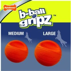 Nylabone Power Play Basketball B-Ball Gripz Dog Toy 12 Nylabone Power Play Basketball B-Ball Gripz Dog Toy -Pet Care Sales 195434 PT3. AC SS1800 V1685646679