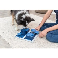 TRIXIE Poker Box 2 Activity Strategy Game Dog Toy 10 TRIXIE Poker Box 2 Activity Strategy Game Dog Toy -Pet Care Sales 207409 PT2. AC SS1800 V1686328488