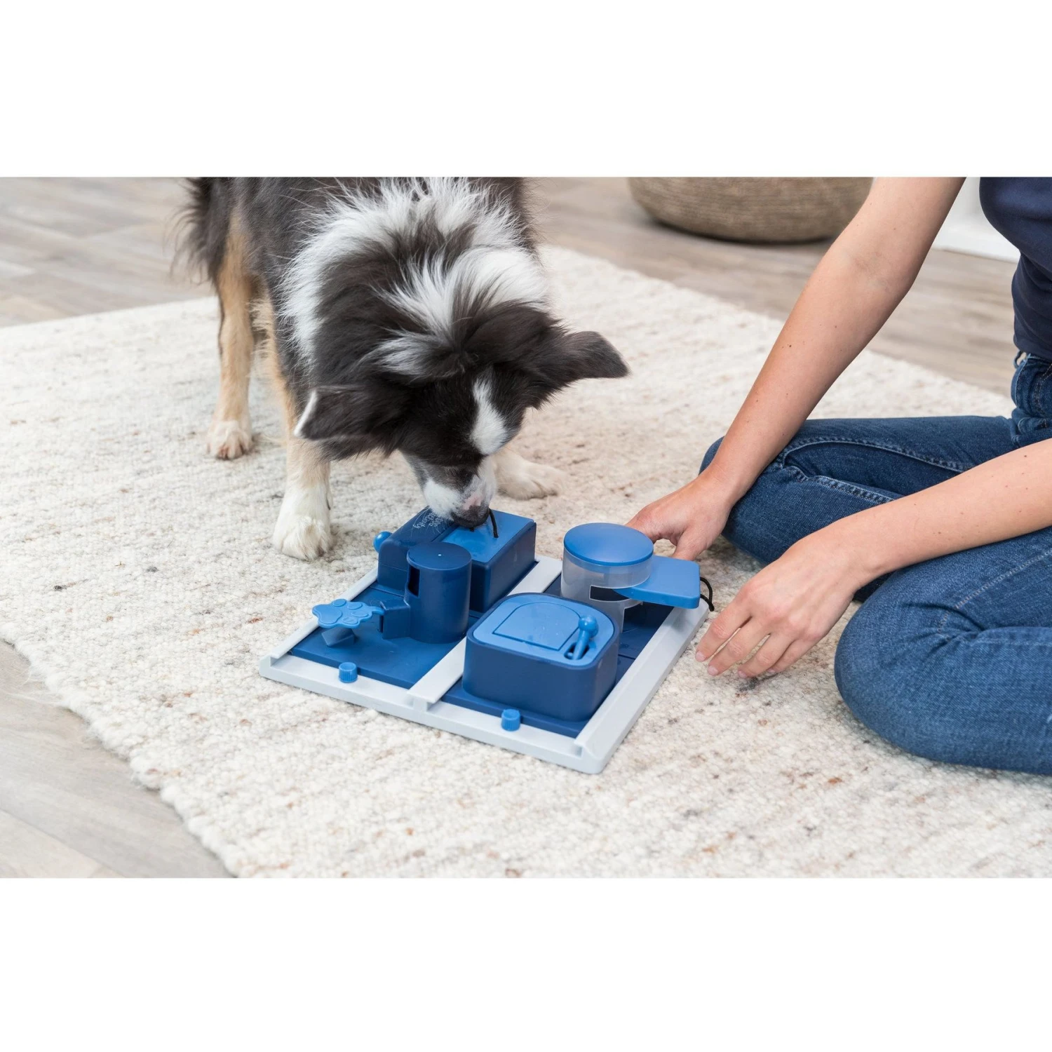 TRIXIE Poker Box 2 Activity Strategy Game Dog Toy 3 TRIXIE Poker Box 2 Activity Strategy Game Dog Toy - Image 3