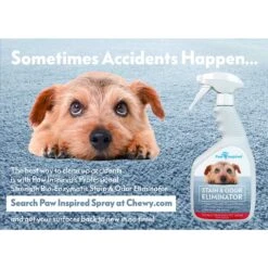 Paw Inspired Disposable Female Dog Diapers 15 Paw Inspired Disposable Female Dog Diapers -Pet Care Sales 208518 PT7. AC SS1800 V1613695024