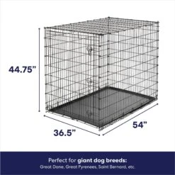 Pet Care Sales -Pet Care Sales 210677 PT1. AC SS1800 V1667227472