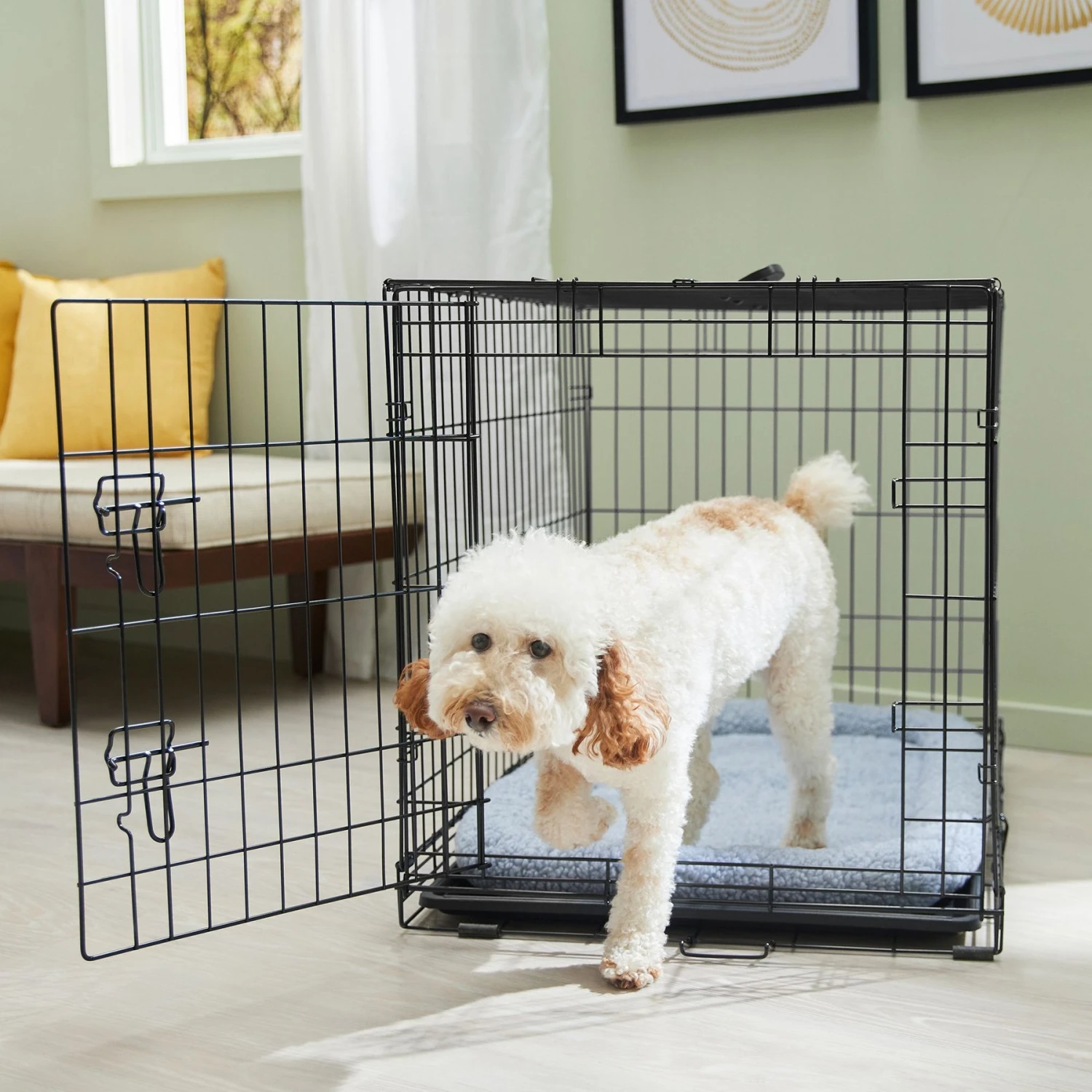 Frisco Fold & Carry Single Door Collapsible Wire Dog Crate & Mat Kit 1 Frisco Fold & Carry Single Door Collapsible Wire Dog Crate & Mat Kit