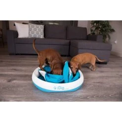IFetch IDig Stay Dog Toy, Blue -Pet Care Sales 213250 PT2. AC SS1800 V1575486181