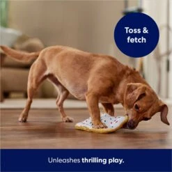 Frisco Frosted Pastry Stuffing-Free Flat Plush Squeaky Dog Toy 10 Frisco Frosted Pastry Stuffing-Free Flat Plush Squeaky Dog Toy -Pet Care Sales 213812 PT5. AC SS1800 V1686579088