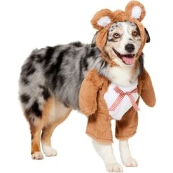 Frisco Front Walking Teddy Bear Dog & Cat Costume 11 Frisco Front Walking Teddy Bear Dog & Cat Costume -Pet Care Sales 215507 PT3. AC SS1800 V1624402415