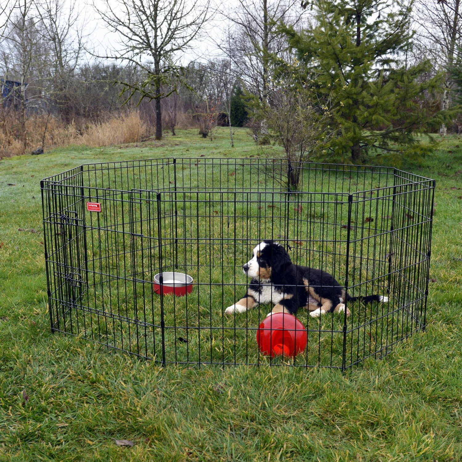 Lucky Dog Wire Dog Exercise Pen With Step-Thru Door 1 Lucky Dog Wire Dog Exercise Pen With Step-Thru Door