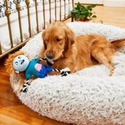 Frisco Zombie Boy Plush With Rope Squeaky Dog Toy -Pet Care Sales 218569 PT6. AC SS1800 V1597599376