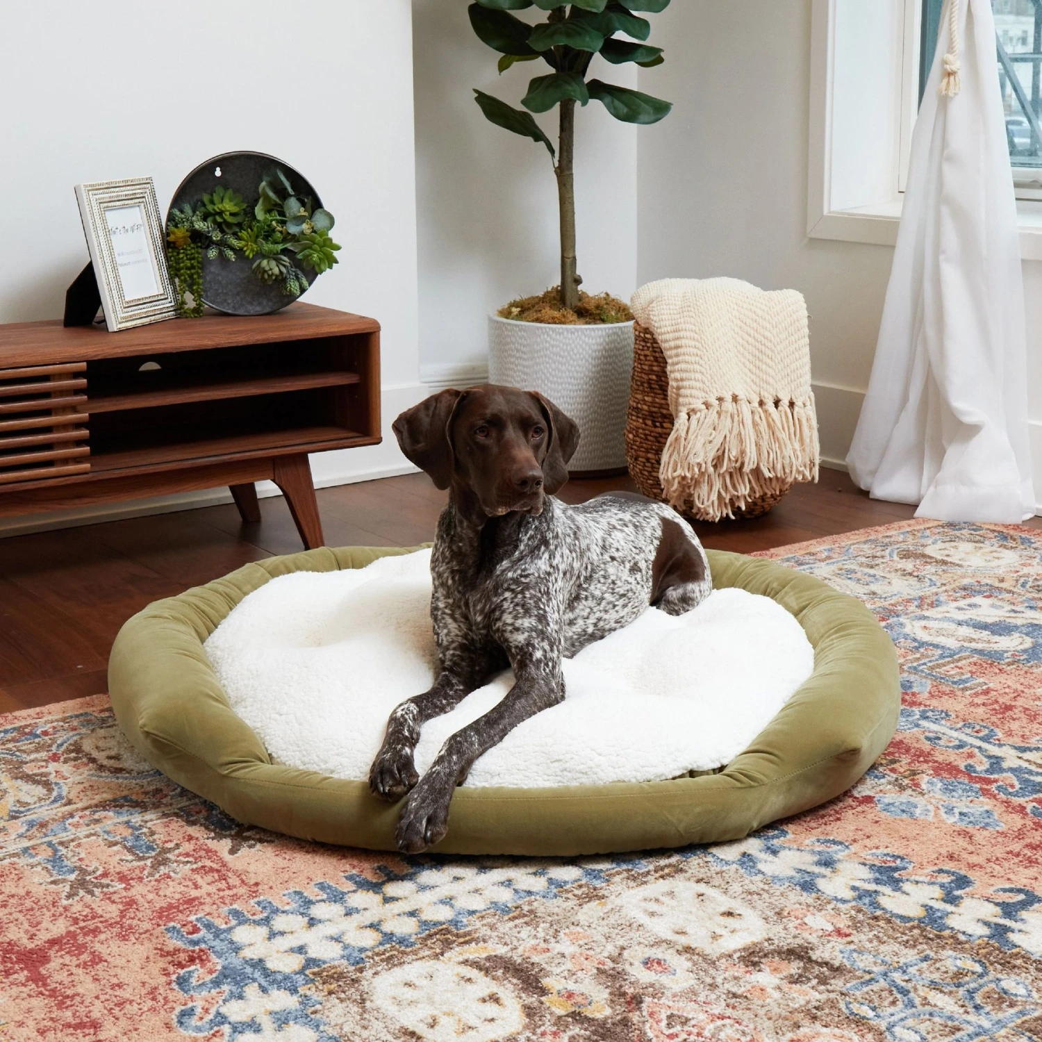 Happy Hounds Marley Donut Dog Bed 1 Happy Hounds Marley Donut Dog Bed