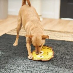 STAR WARS C-3PO Flat Plush Squeaky Dog Toy -Pet Care Sales 220603 PT3. AC SS1800 V1615586253