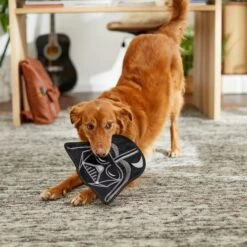 STAR WARS DARTH VADER Flat Plush Squeaky Dog Toy -Pet Care Sales 220653 PT3. AC SS1800 V1615586195