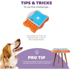 Nina Ottosson By Outward Hound Challenge Slider Dog Toy -Pet Care Sales 226716 PT3. AC SS1800 V1694287362