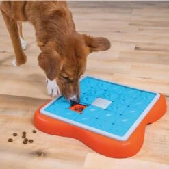 Nina Ottosson By Outward Hound Challenge Slider Dog Toy -Pet Care Sales 226716 PT4. AC SS1800 V1694286042