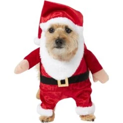 Frisco Front Walking Santa Dog & Cat Costume, 1 Count